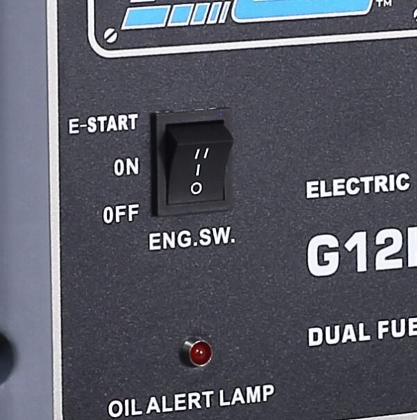 Pulsar 12,000W Dual Fuel Portable Generator with Electric Start - Image 8